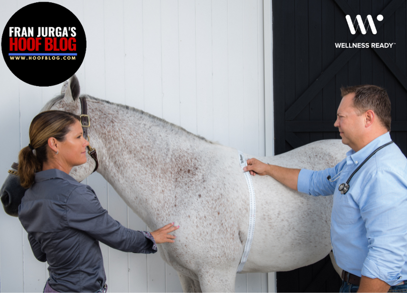 Wellness Ready Stall Side Insulin Tests Accelerate Equine Metabolic Syndrome Diagnostics