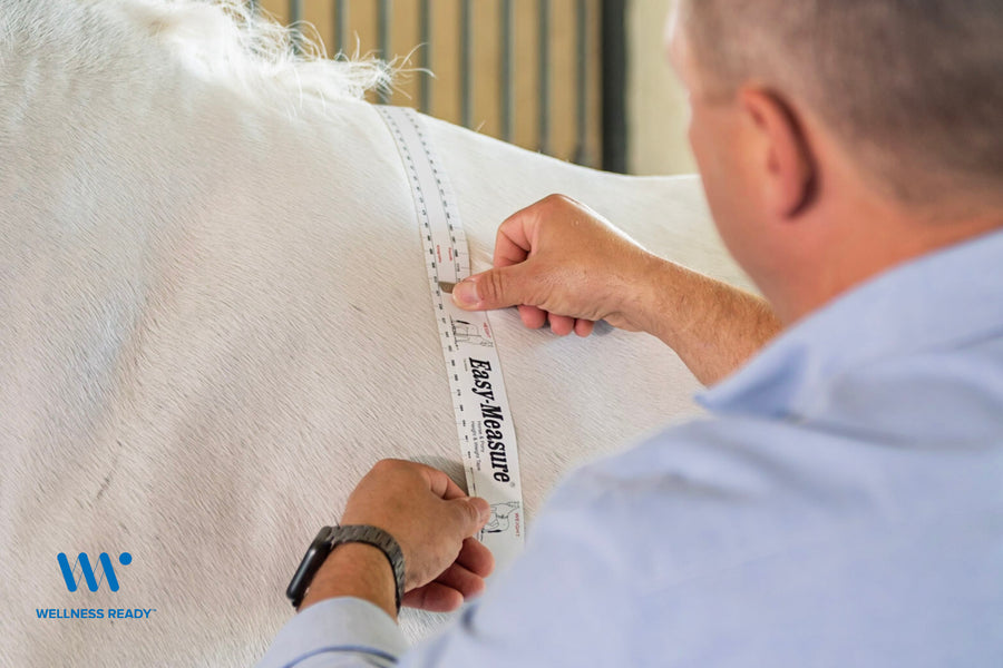 Growing Problem: Equine Metabolic Syndrome and Laminitis